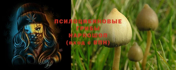 метамфетамин Белокуриха
