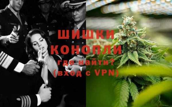 ПСИЛОЦИБИНОВЫЕ ГРИБЫ Беломорск