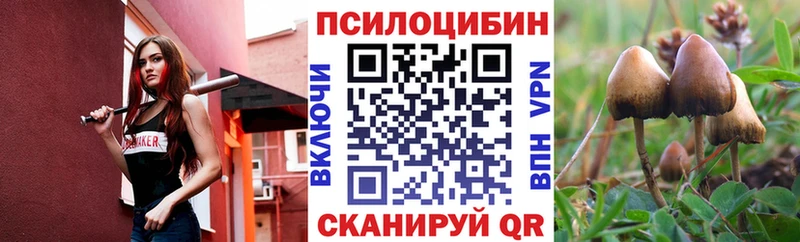 MEGA tor  Жирновск  Псилоцибиновые грибы Cubensis 